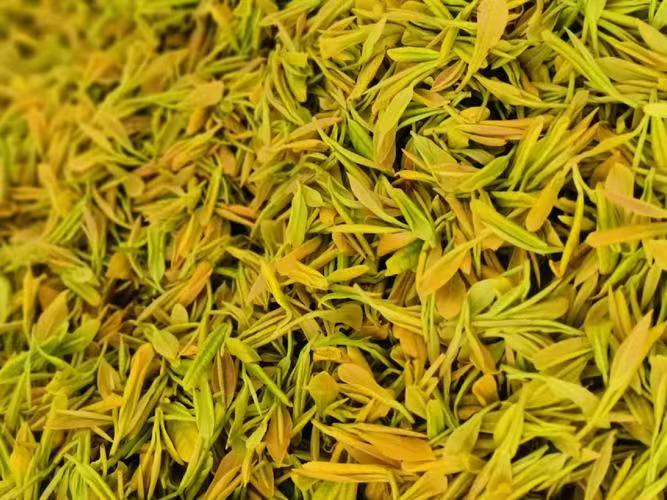 黄茶